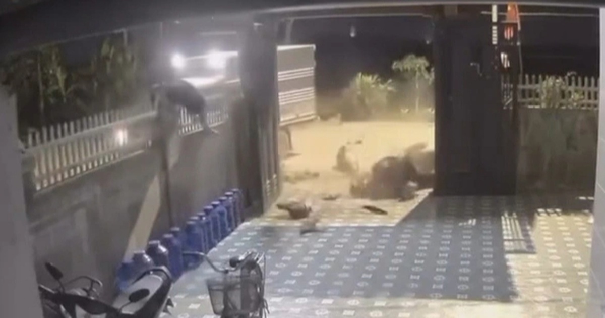 Va chạm với ô tô, người đi xe máy vắt ngang lên bờ rào