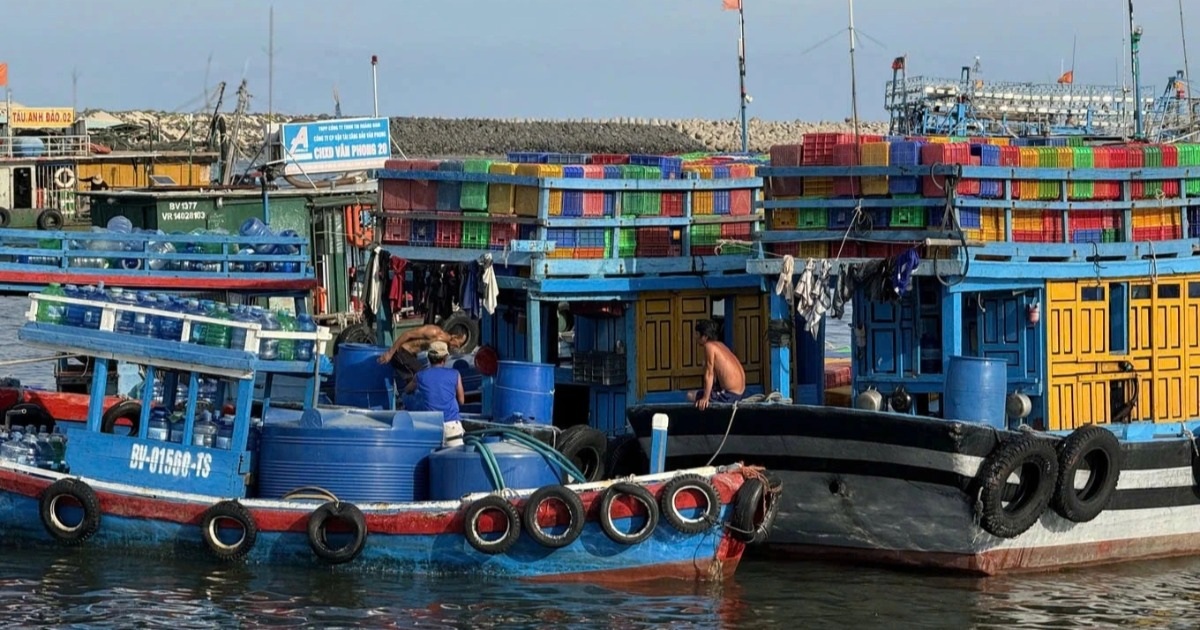 TPHCM ứng phó khẩn với gió mạnh trên Biển Đông