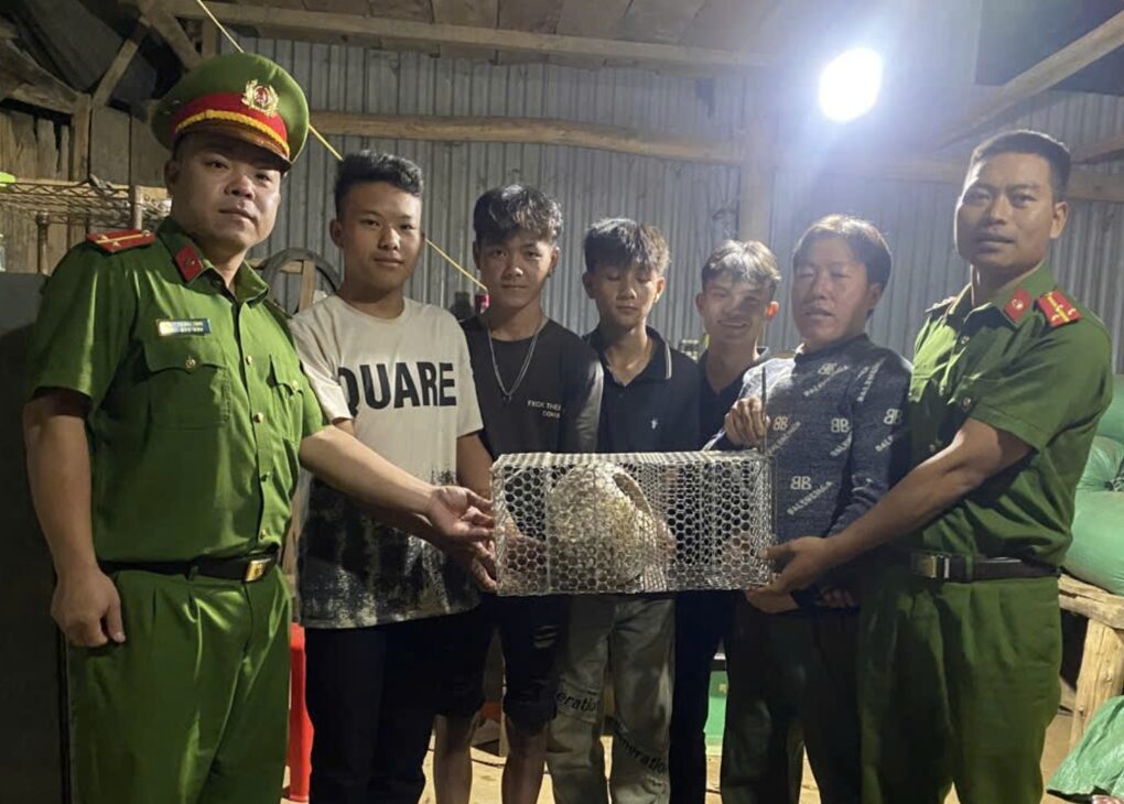 Phát hiện cá thể tê tê quý hiếm bò ra đường ở Lâm Đồng - 1