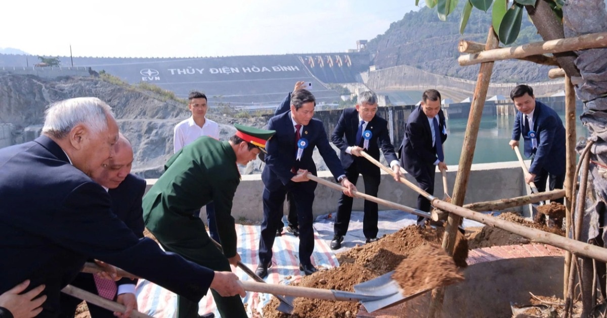 Chuyển mục đích sử dụng 4ha rừng để làm Nhà máy thủy điện Hòa Bình mở rộng