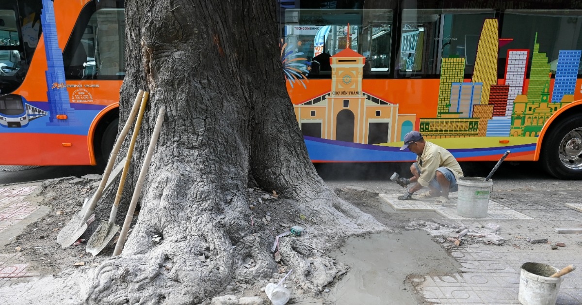 Vỉa hè trung tâm TPHCM “khoác áo mới” trước Tết Bính Ngọ 2026