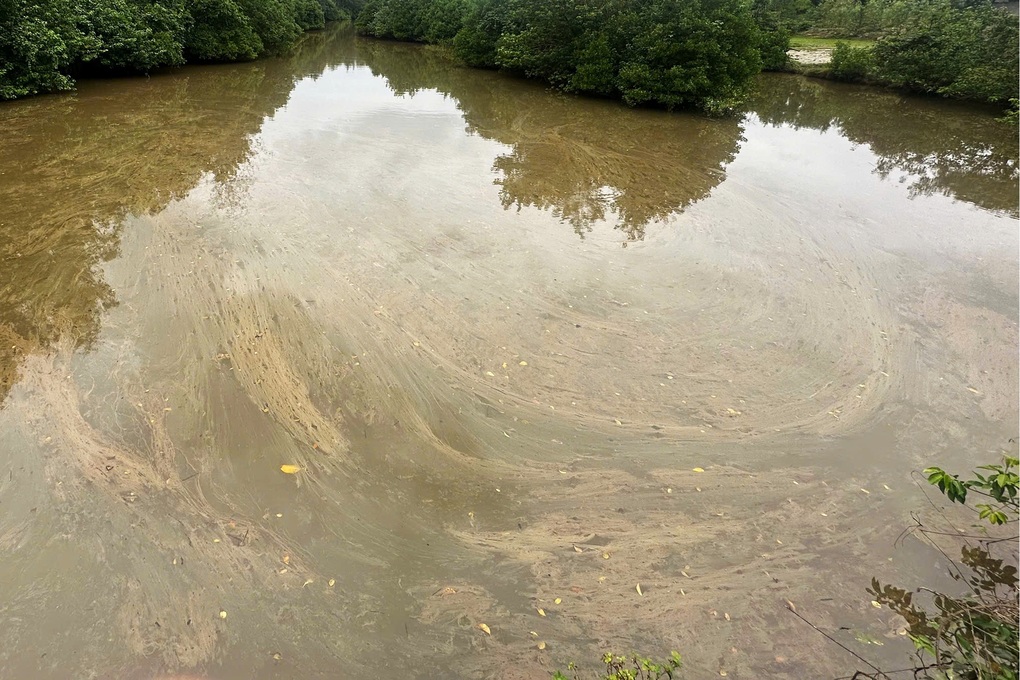 Dầu diesel từ kho trong Khu kinh tế Dung Quất tràn ra sông và đồng ruộng - 1