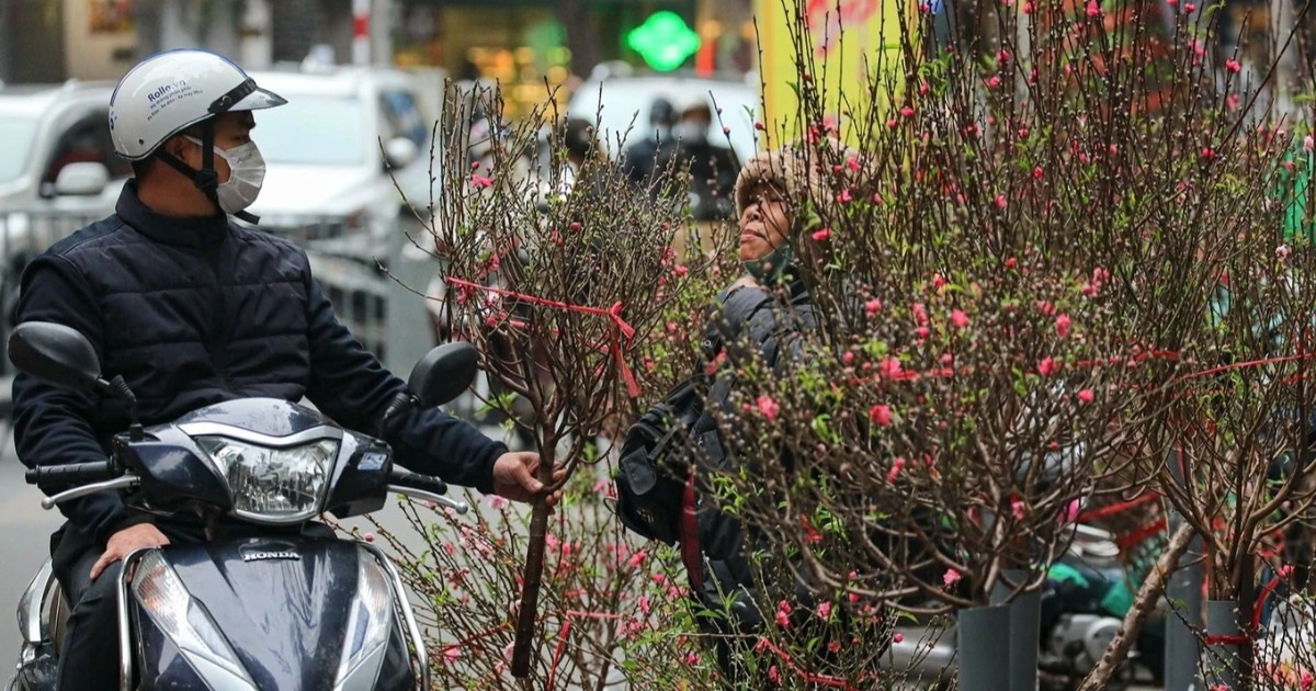 Chuyên gia nêu lý do mùa đông năm nay ấm hơn trung bình nhiều năm