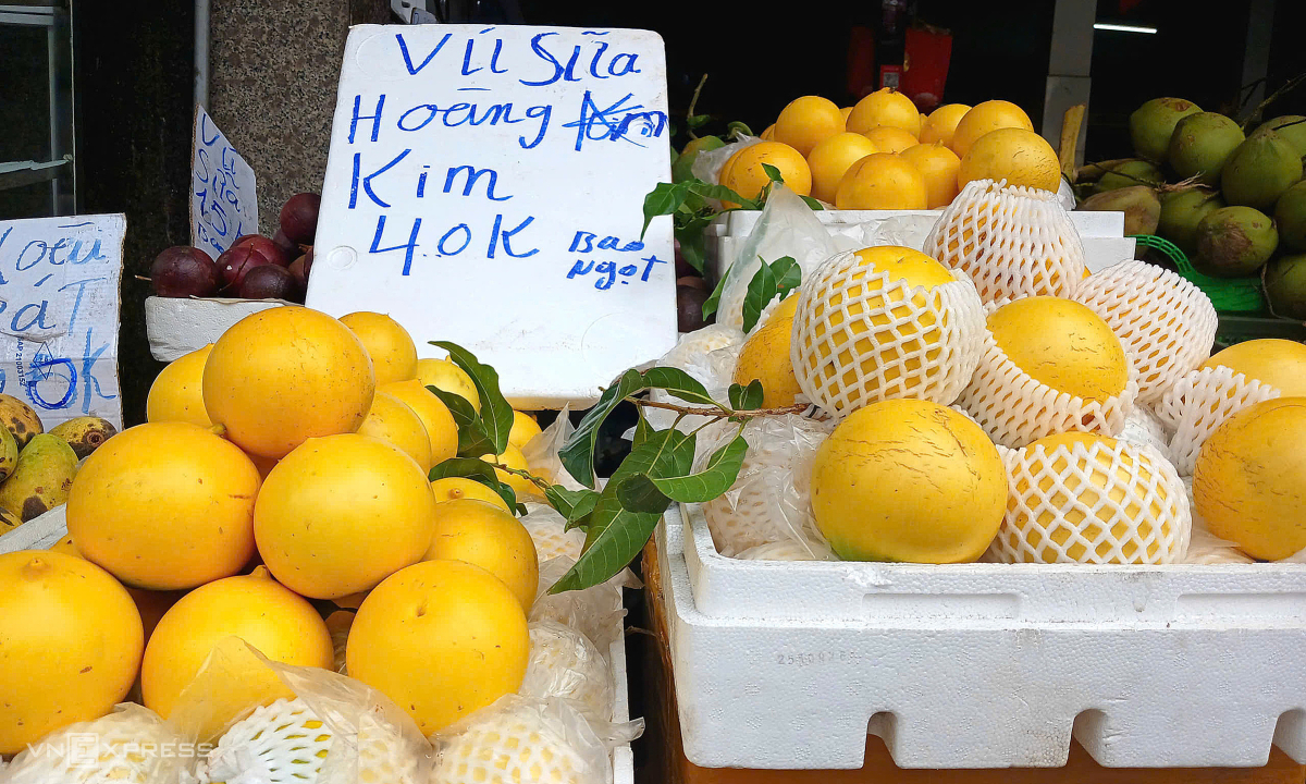 Vú sữa hoàng kim giá rẻ chưa từng có