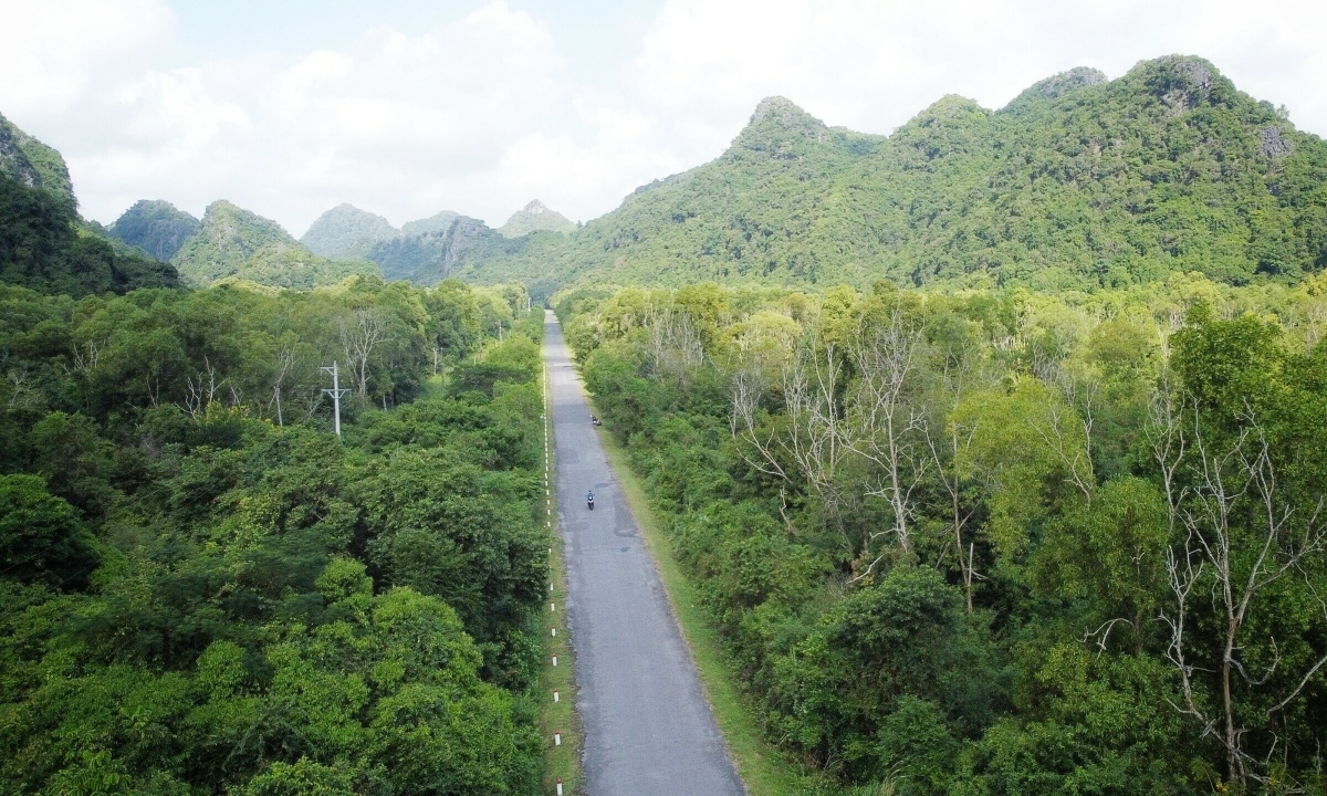 Hải Phòng dự kiến thu hàng trăm triệu USD từ giao dịch carbon