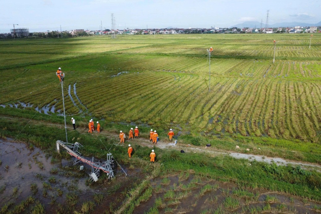 Vì sao cột điện gãy đổ vẫn ngổn ngang nhiều tháng sau bão? - 3