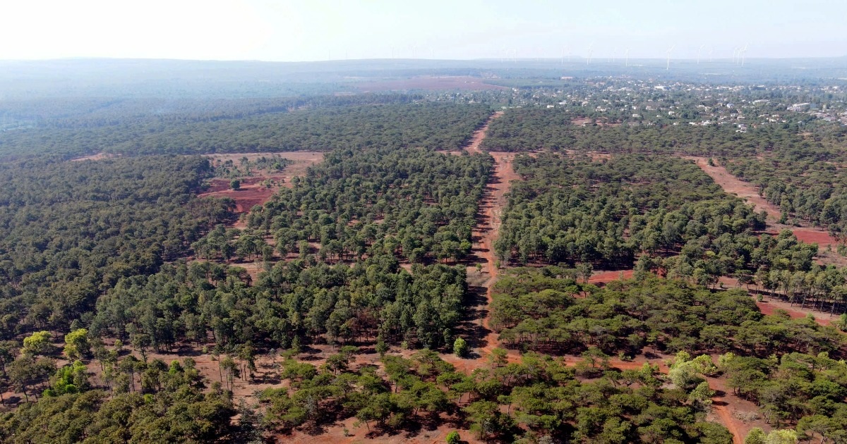 Gia Lai khởi động lại dự án sân golf hơn 170ha