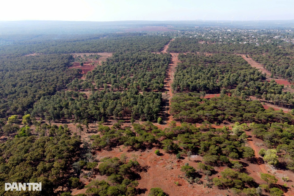 Gia Lai khởi động lại dự án sân golf hơn 170ha - 1 Gia Lai khởi động lại dự án sân golf hơn 170ha - 1