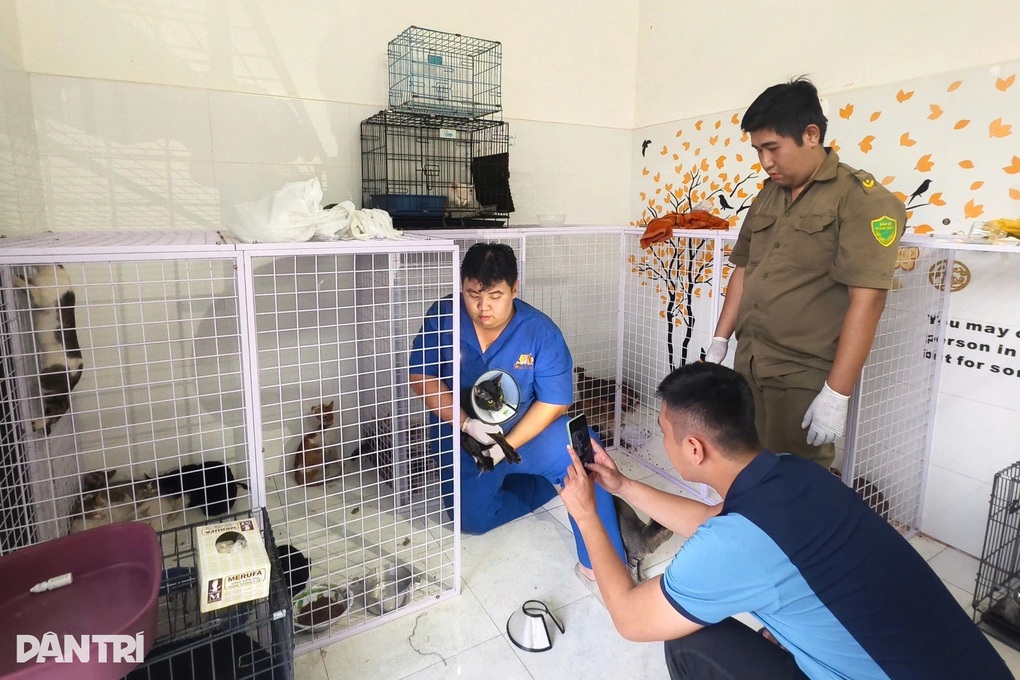 Cô gái vui mừng khi gặp lại thú cưng sau hai ngày mất trộm ở TPHCM - 1