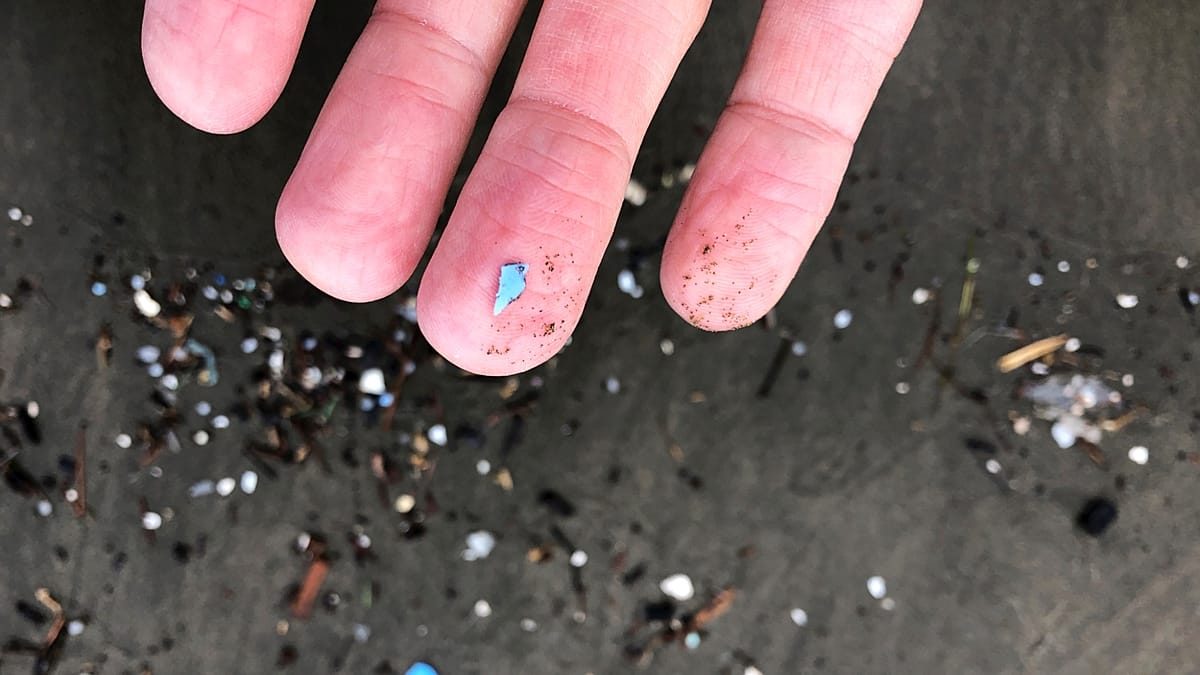 How microplastics are chipping away at Earth’s ‘natural shield’ against climate change