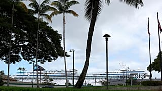 A cruise ship, background, is docked in Honolulu, March 23, 2020.
