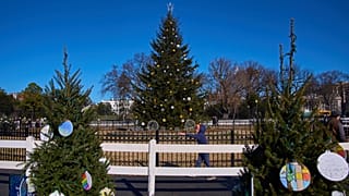 Teddy Hebdon, 9, of Springfield, Va., points at the tree representing Virginia, while visiting the National Christmas Tree on the Ellipse by the White House, Monday, Dec. 22.