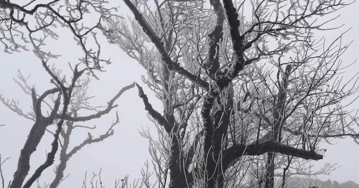 Băng giá xuất hiện ở miền Bắc