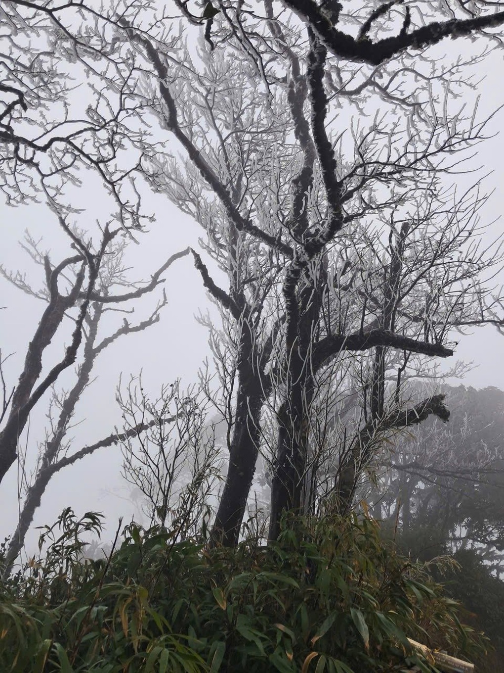 Băng giá xuất hiện ở miền Bắc - 2