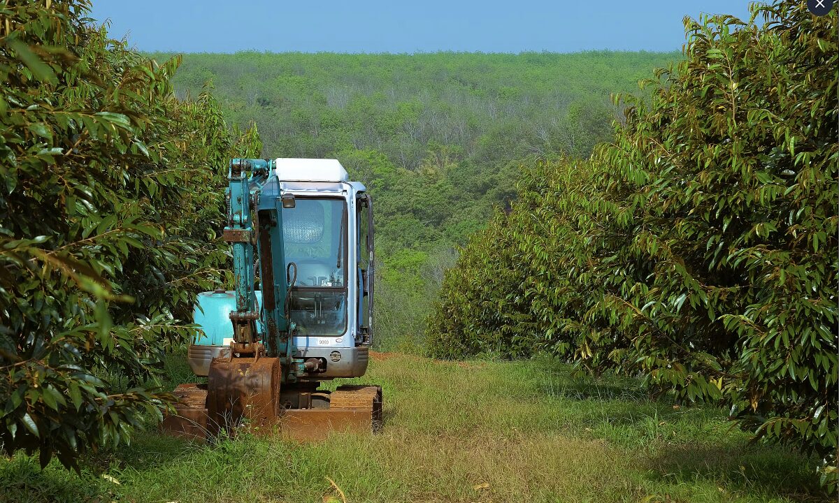 Đề xuất có tiêu chuẩn ESG riêng cho doanh nghiệp Việt
