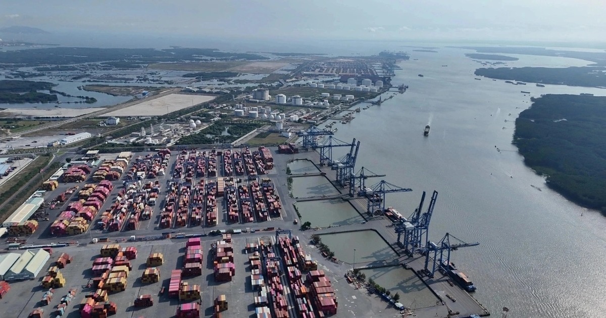 TPHCM giao nhà đầu tư làm cảng Cái Mép Hạ hơn 50.000 tỷ đồng