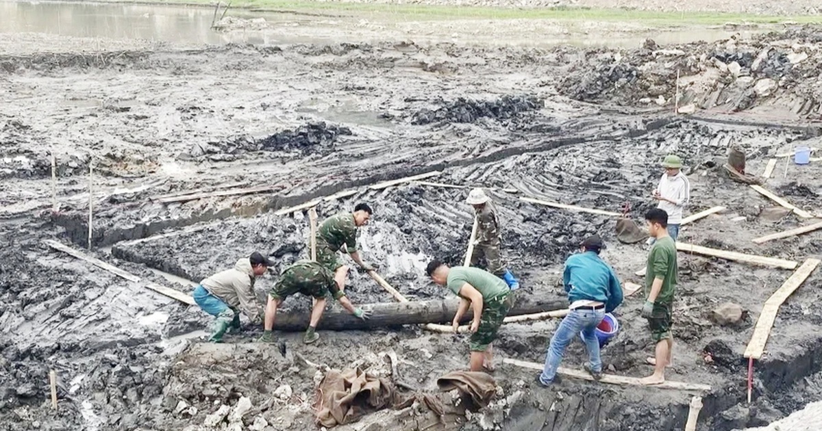 Phát hiện các cọc gỗ nghi là hệ thống phòng thủ chiến lược thời nhà Trần