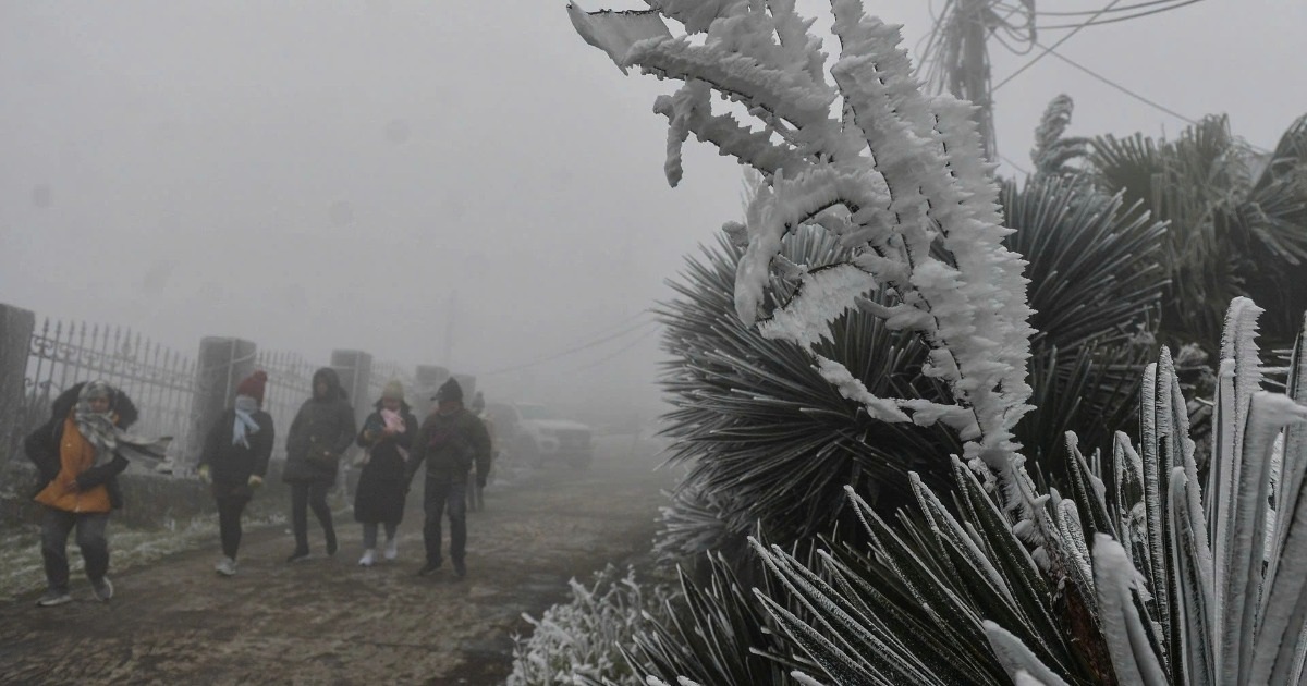 Miền Bắc rét đậm, rét hại kéo dài