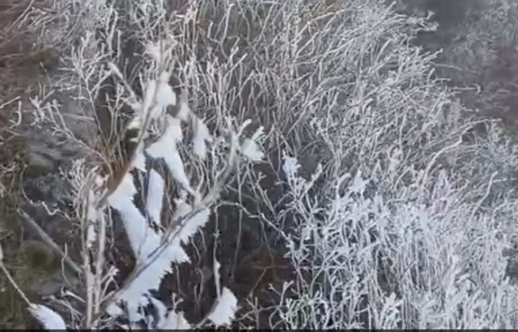 Băng giá phủ trắng trên đỉnh Fansipan - 2