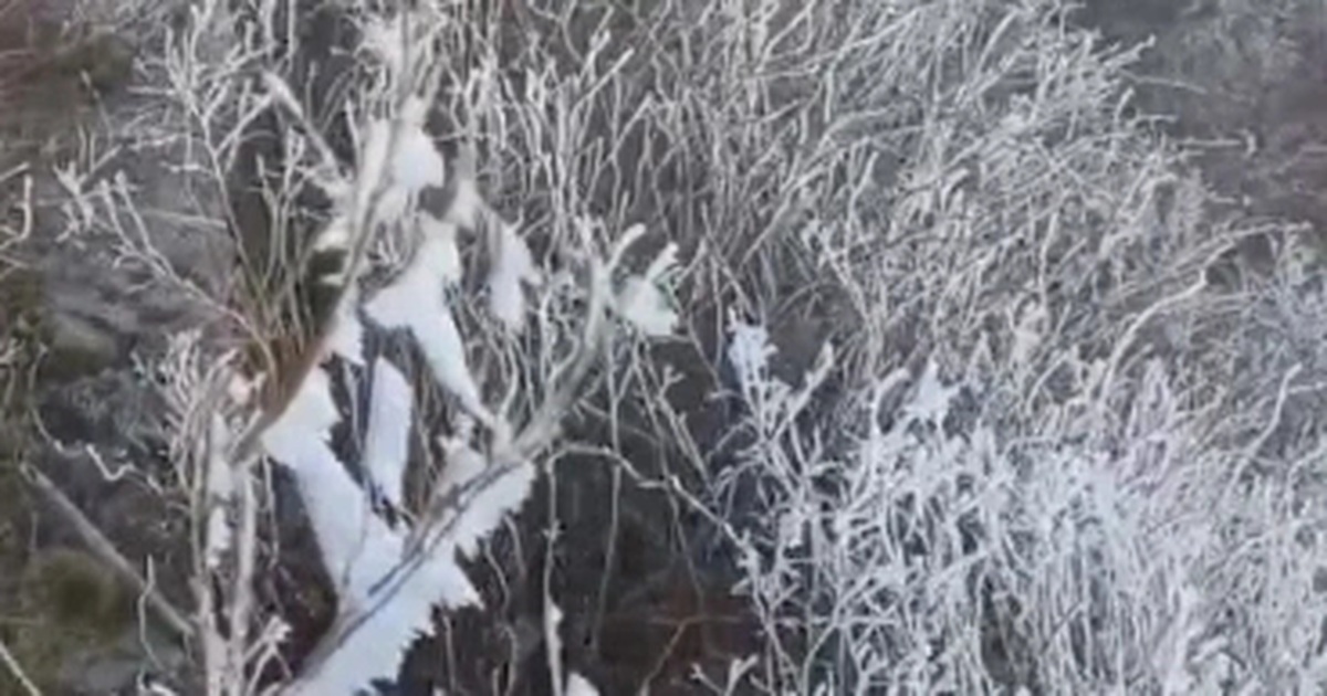 Băng giá phủ trắng trên đỉnh Fansipan