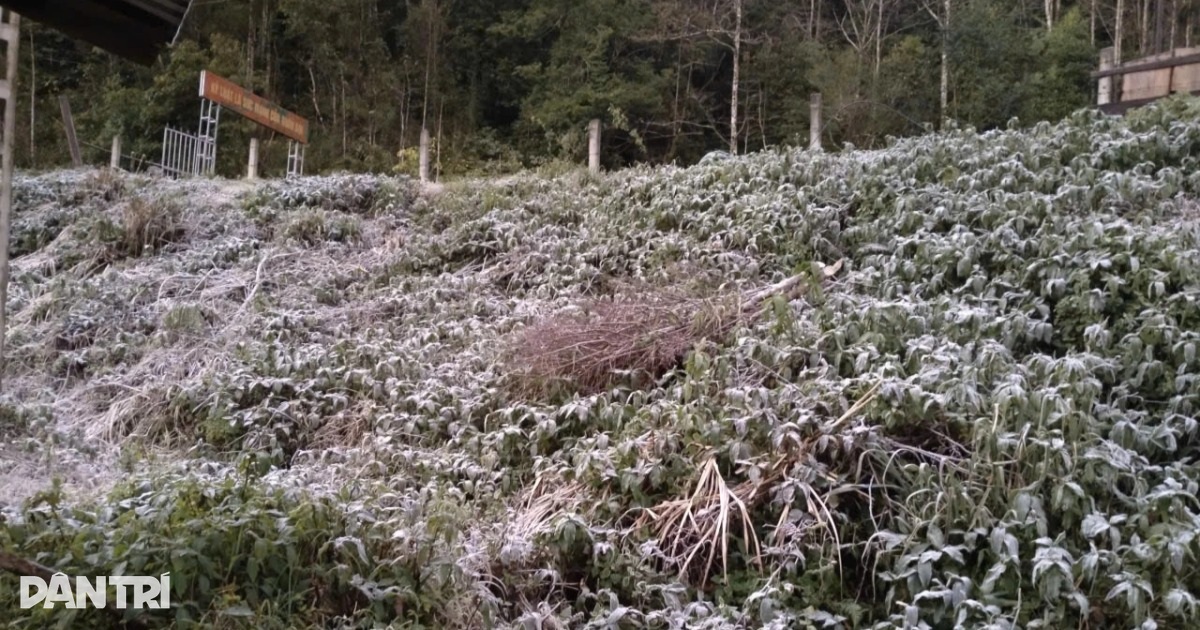 Miền Tây Nghệ An -5 độ C, băng giá phủ trắng núi rừng