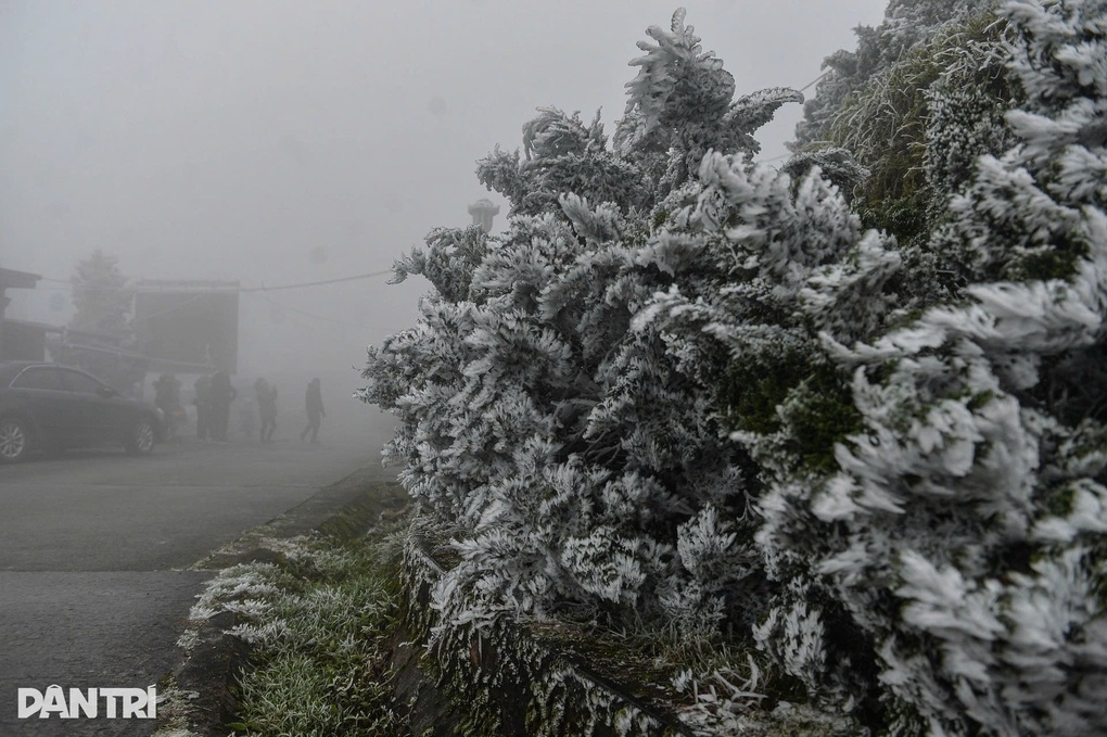 Miền Bắc tiếp tục rét đậm, Hà Nội thấp nhất 14 độ C - 1 Miền Bắc tiếp tục rét đậm, Hà Nội thấp nhất 14 độ C - 1