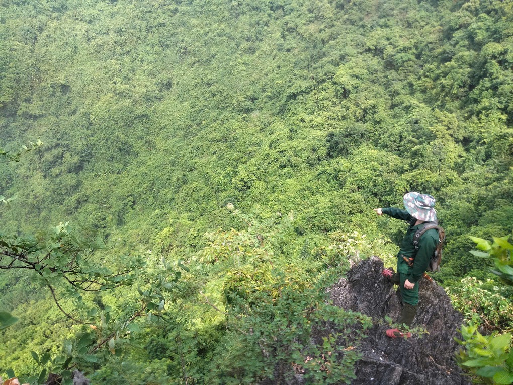 Sơn dương quý hiếm có nguy cơ tuyệt chủng xuất hiện ở rừng Ninh Bình - 3 Sơn dương quý hiếm có nguy cơ tuyệt chủng xuất hiện ở rừng Ninh Bình - 3