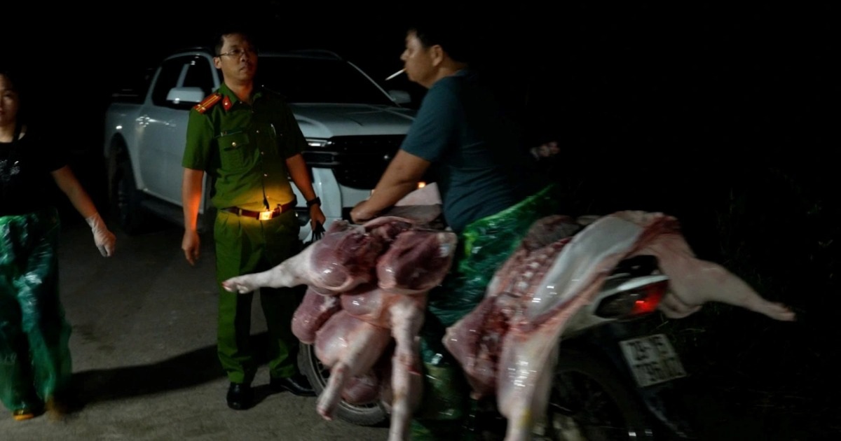 Bộ NN&MT yêu cầu ngăn chặn virus Nipah xâm nhập vào Việt Nam