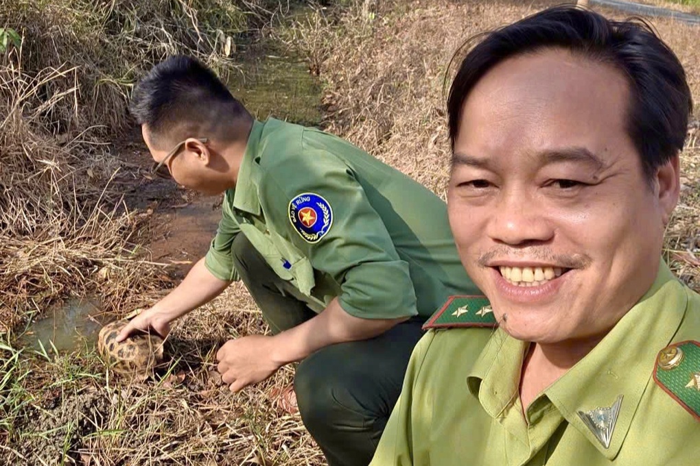 Bắt được rùa núi vàng ở Đồng Nai, người dân bàn giao cho công an - 1