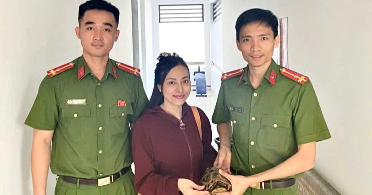 Bắt được rùa núi vàng ở Đồng Nai, người dân bàn giao cho công an