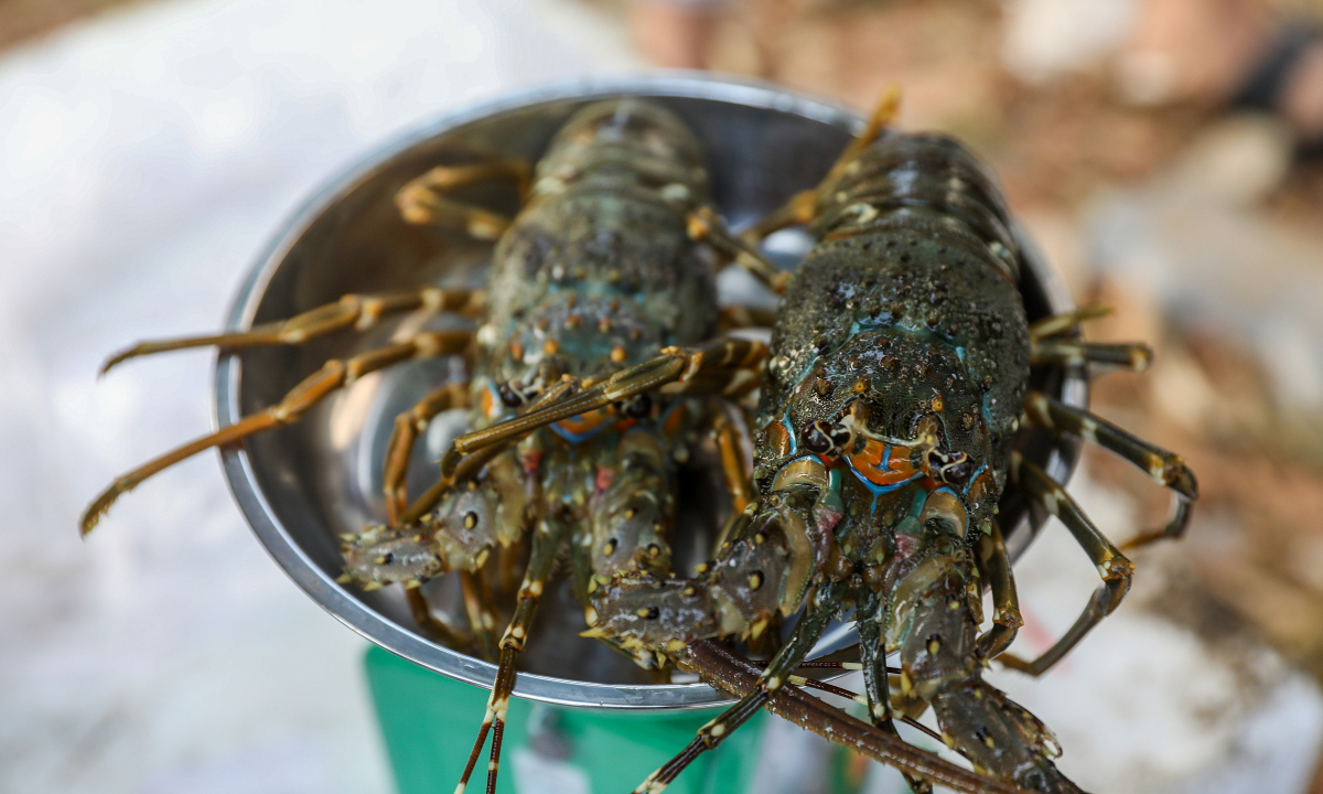 Xuất khẩu thủy sản vượt 11 tỷ USD