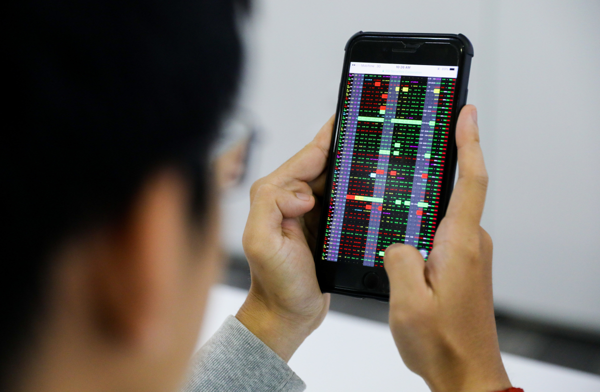 Chứng khoán tăng mạnh nhất 8 năm