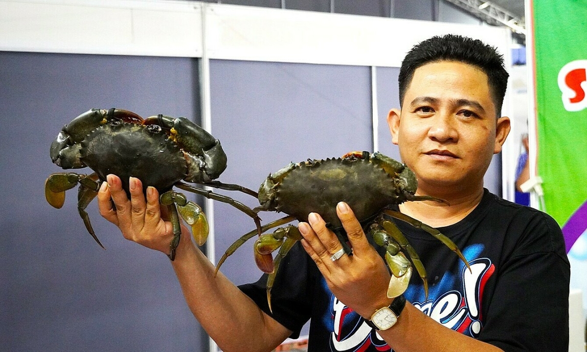 Cua Cà Mau sốt giá dịp Tết Dương lịch