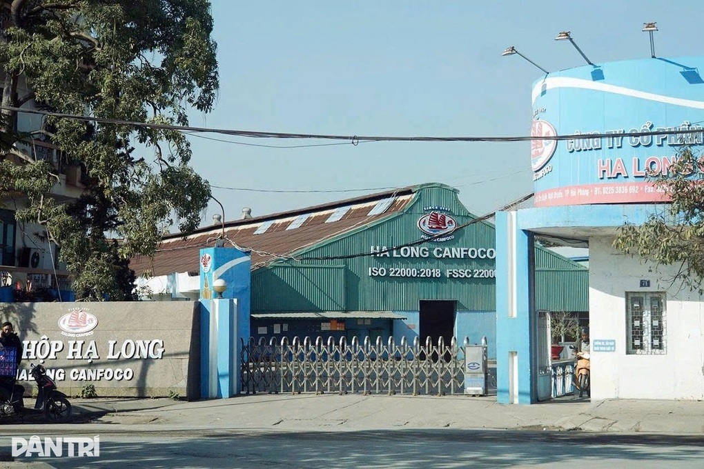 Đề nghị Hải Phòng báo cáo về quản lý an toàn thực phẩm với đồ hộp Hạ Long - 1 Đề nghị Hải Phòng báo cáo về quản lý an toàn thực phẩm với đồ hộp Hạ Long - 1