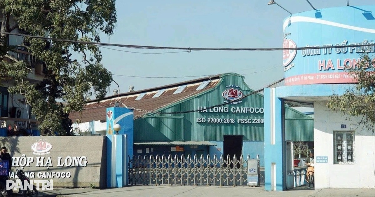 Đề nghị Hải Phòng báo cáo về quản lý an toàn thực phẩm với đồ hộp Hạ Long