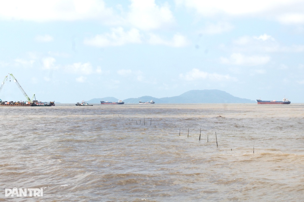 Đường cao tốc là tương lai của cả vùng, bà con sẵn sàng chia sẻ” - 3