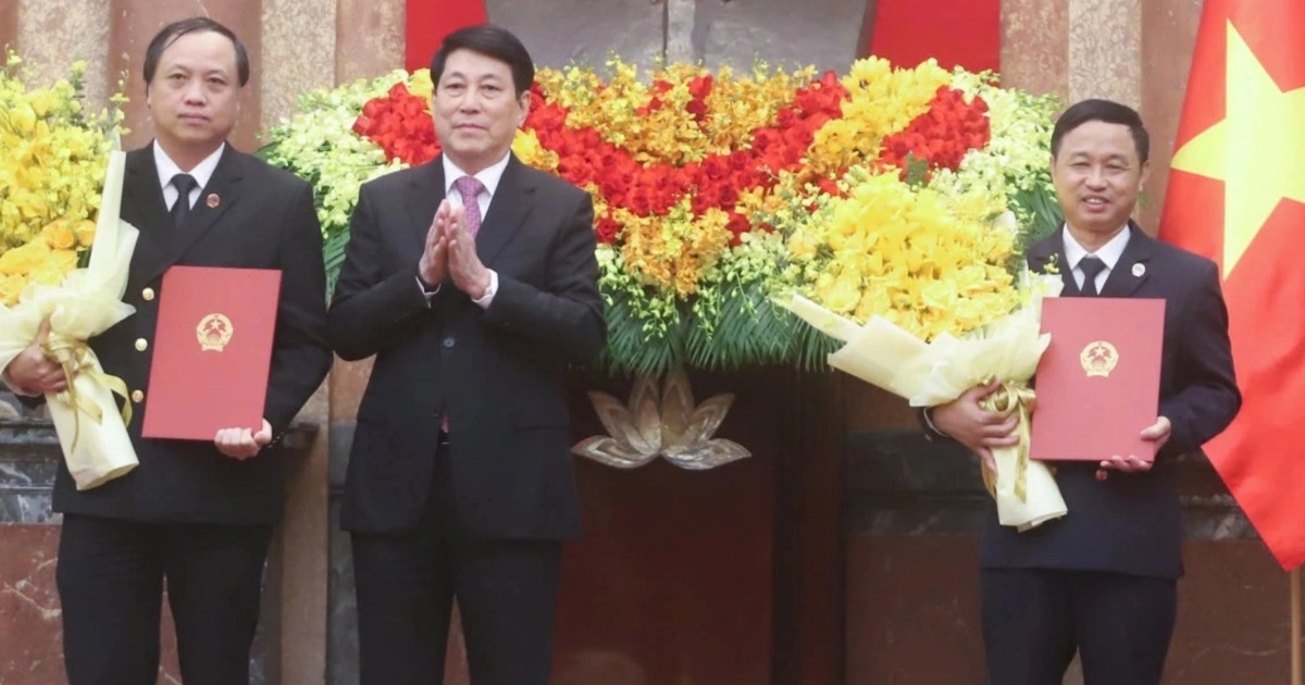 Chủ tịch nước trao quyết định bổ nhiệm 2 Phó Chánh án TAND Tối cao