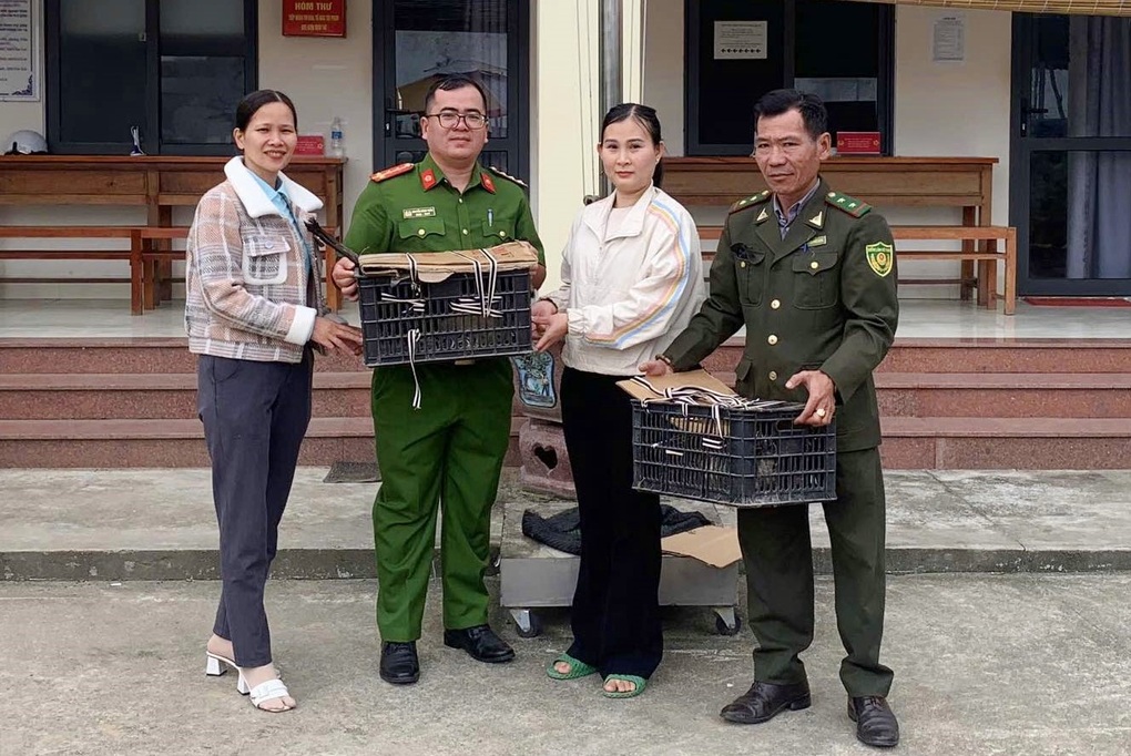 Chim lạ bay vào vườn lúc nửa đêm, người dân giao nộp cho công an - 1