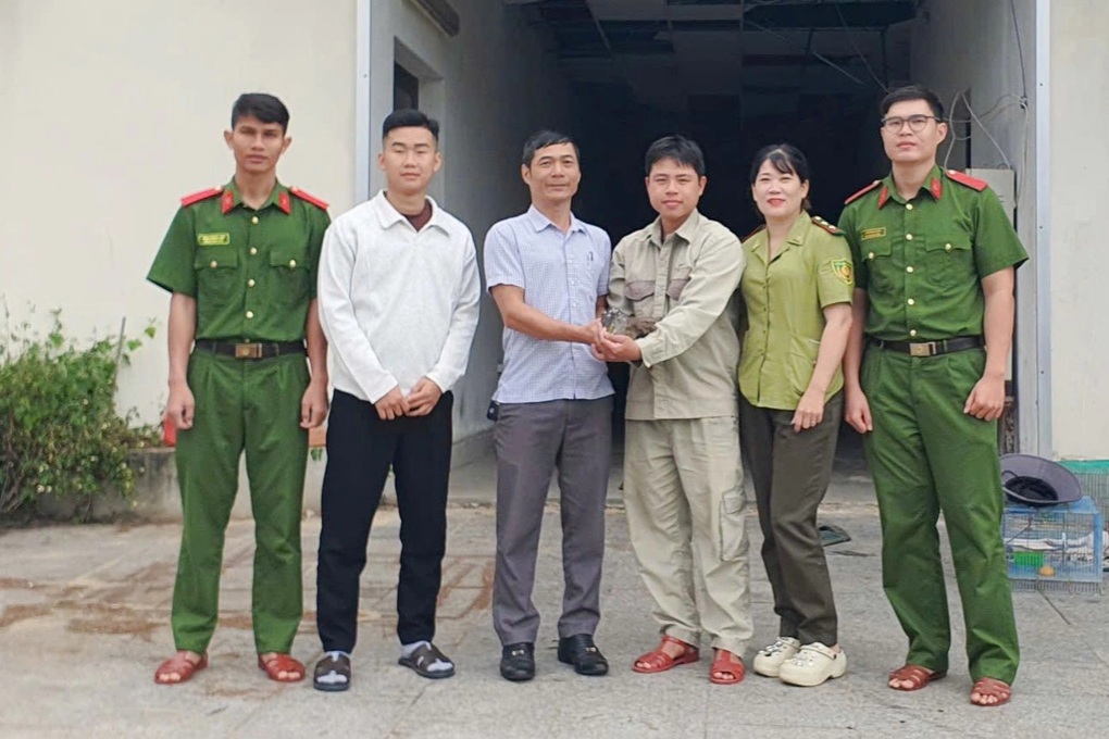 Giải cứu vạc rừng quý hiếm rơi vào khu dân cư - 2