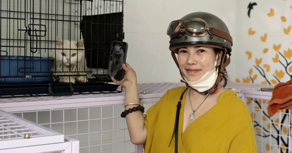 Cô gái vui mừng khi gặp lại thú cưng sau hai ngày mất trộm ở TPHCM