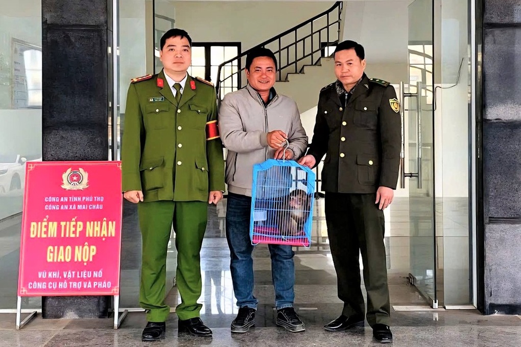 Người dân tự nguyện giao nộp cá thể khỉ vàng - 2