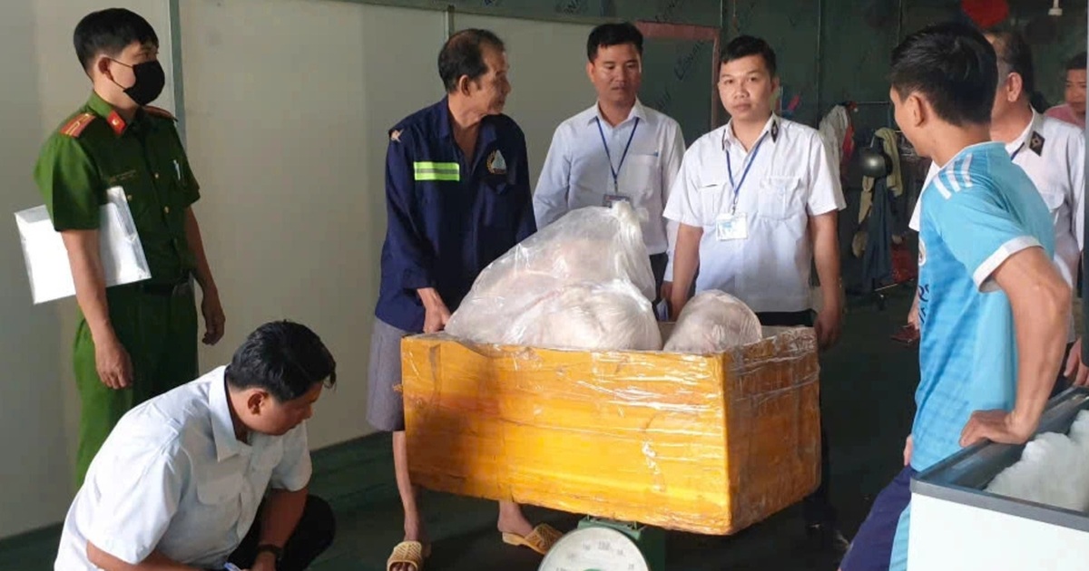 Phát hiện khoảng 2 tấn thịt heo không rõ nguồn gốc ở TPHCM