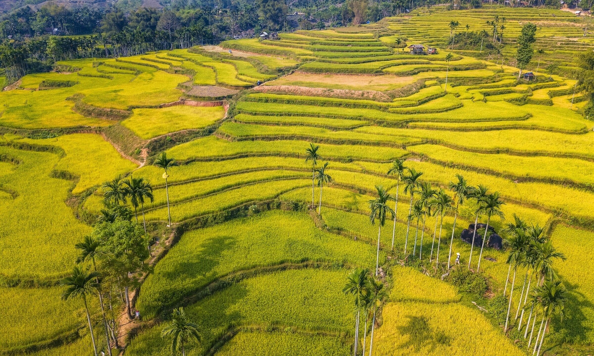 Ruộng bậc thang giúp thích ứng biến đổi khí hậu ra sao