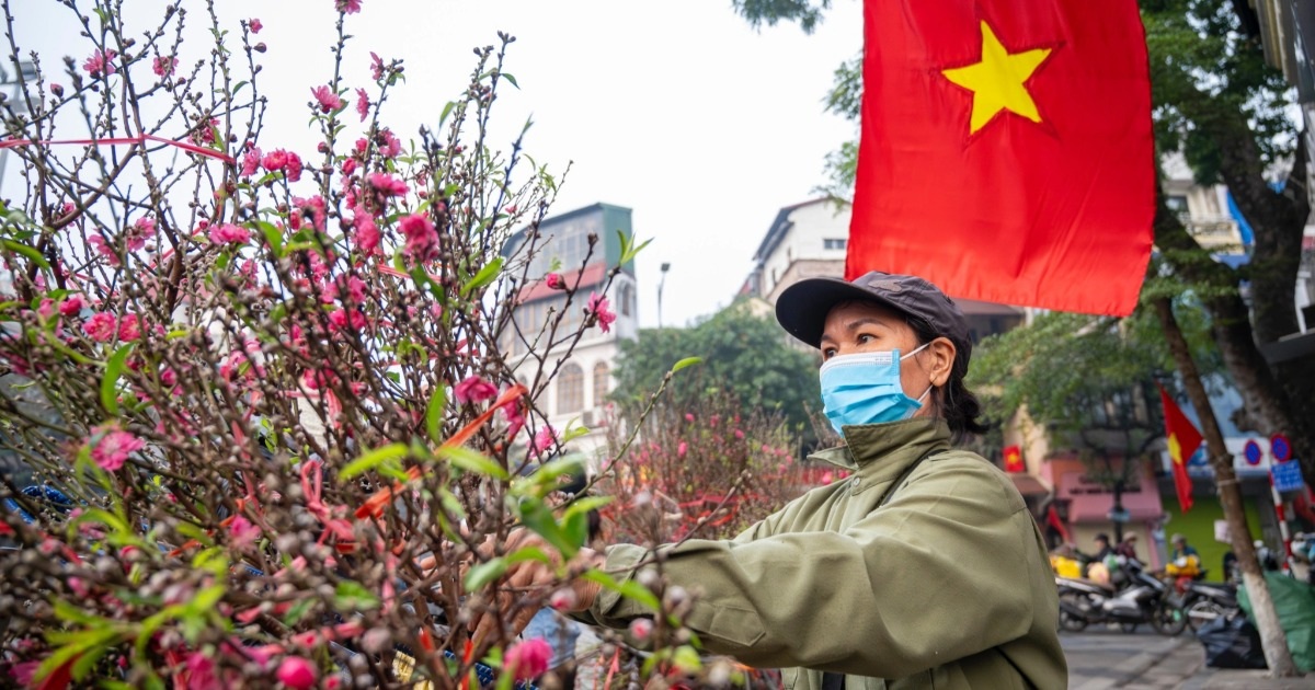 Hoa đào nhuộm đỏ phố phường Hà Nội khi tháng Chạp vừa chạm ngõ