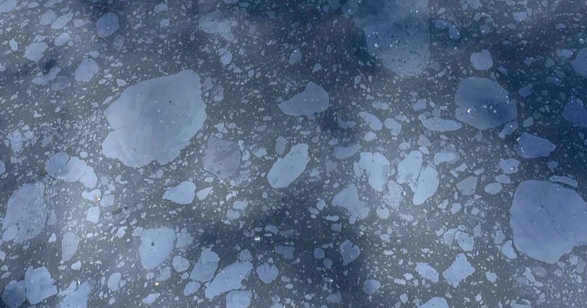 Vết dầu loang nổi từng mảng trên sông ở Đà Nẵng