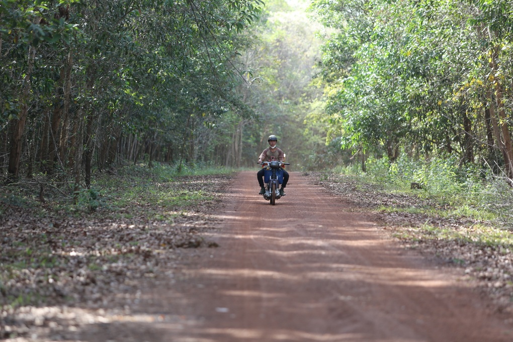 Đồng Nai chấp thuận nhà đầu tư đề xuất làm đường xuyên rừng Mã Đà - 1
