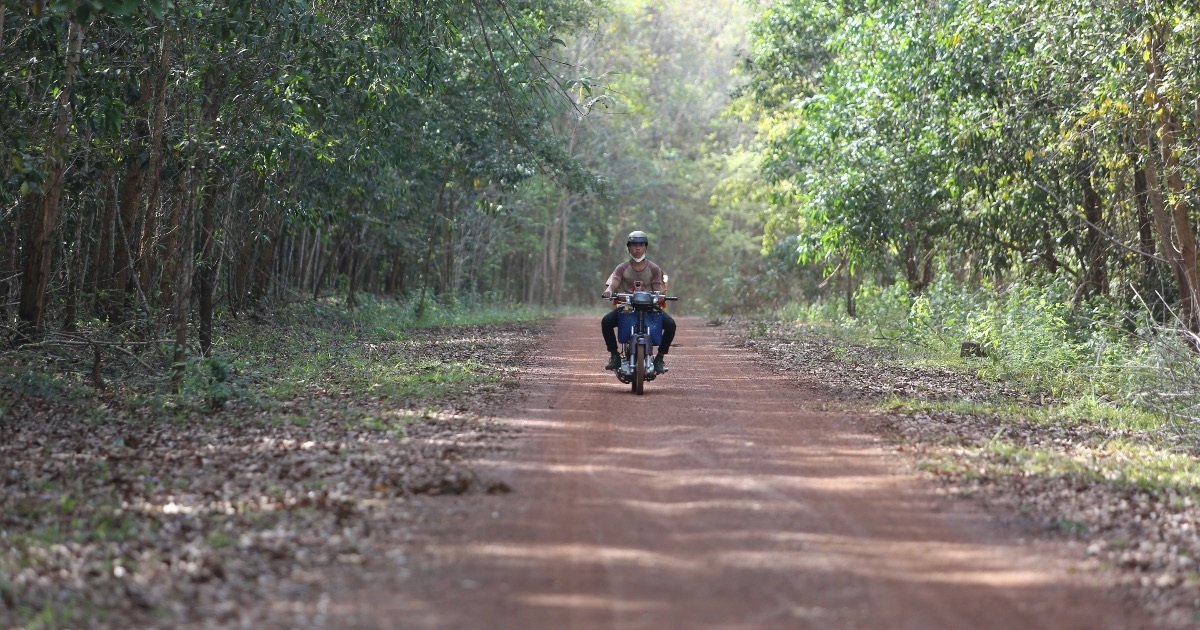 Đồng Nai chấp thuận nhà đầu tư đề xuất làm đường xuyên rừng Mã Đà