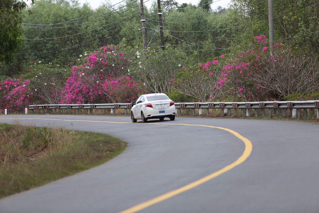 Đồng Nai chấp thuận nhà đầu tư đề xuất làm đường xuyên rừng Mã Đà - 2