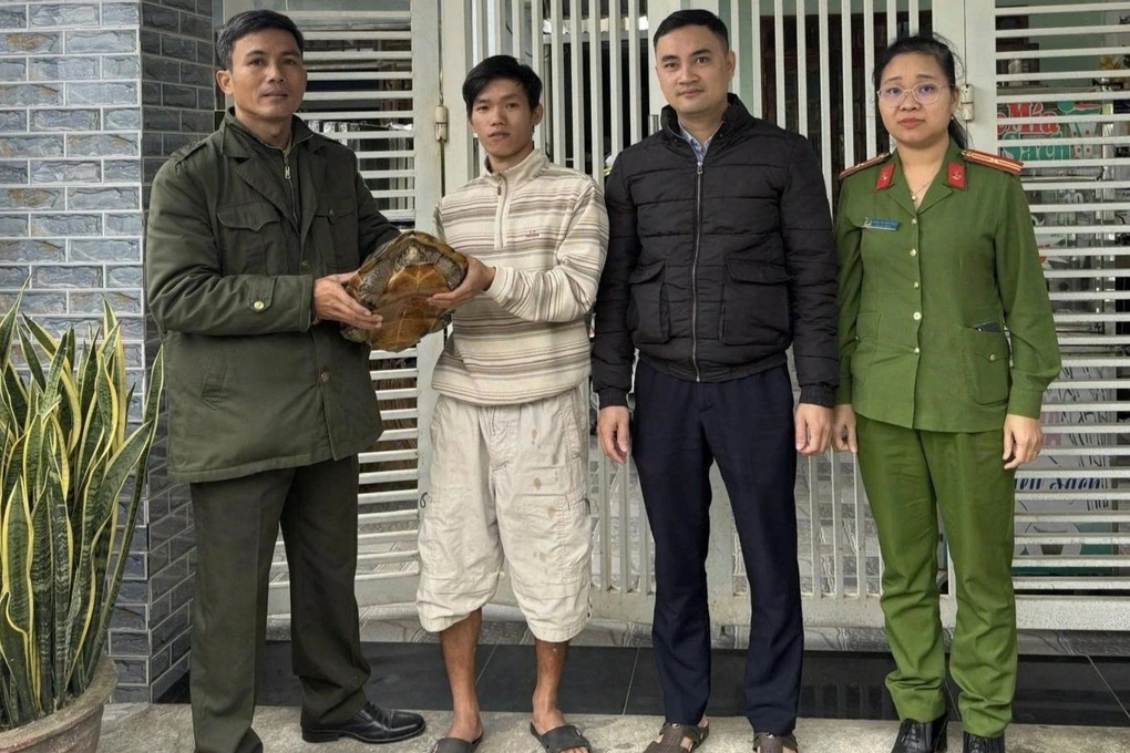 Người dân phát hiện rùa quý hiếm nặng 6,8kg lạc vào vườn nhà - 1