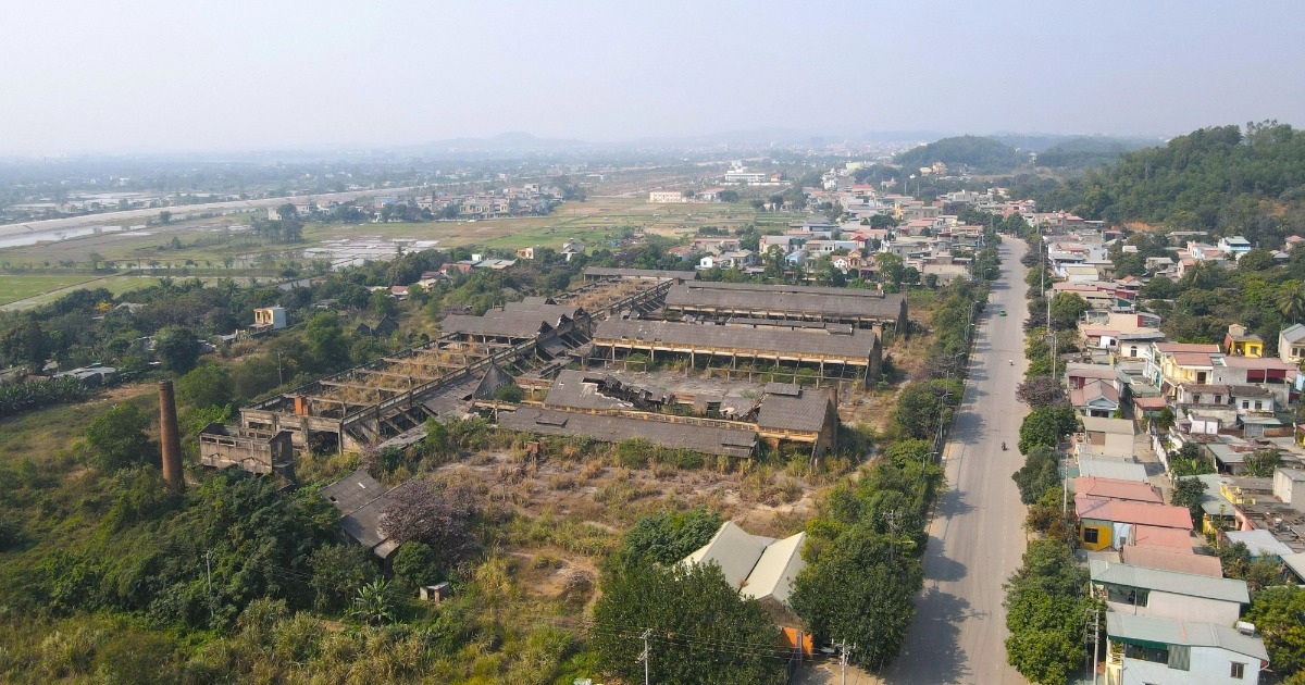 10ha “đất vàng” ở Thanh Hóa bị bỏ hoang gần một thập kỷ